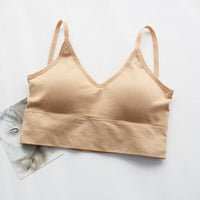 apricot1