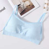 style2 skyblue